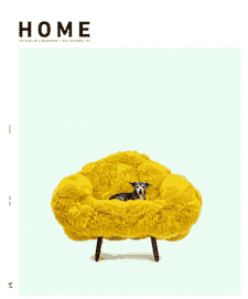 Florida Design Magazine Edition 4.1